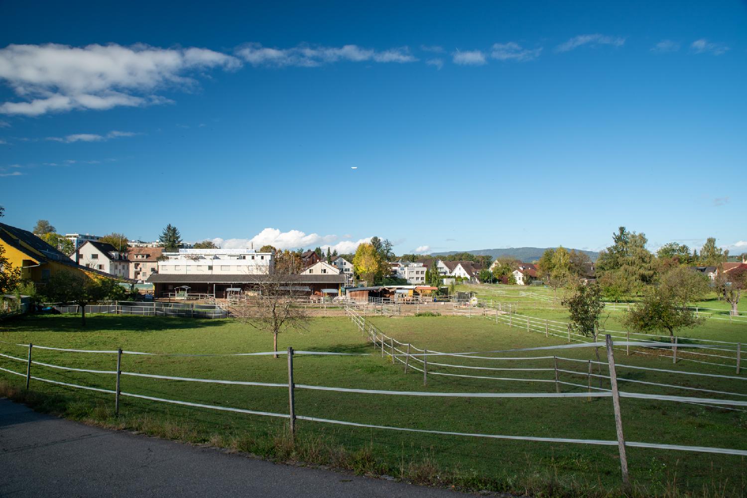 Alte Mühlackerstrasse in Zürich: horse pastures and buildings in the background