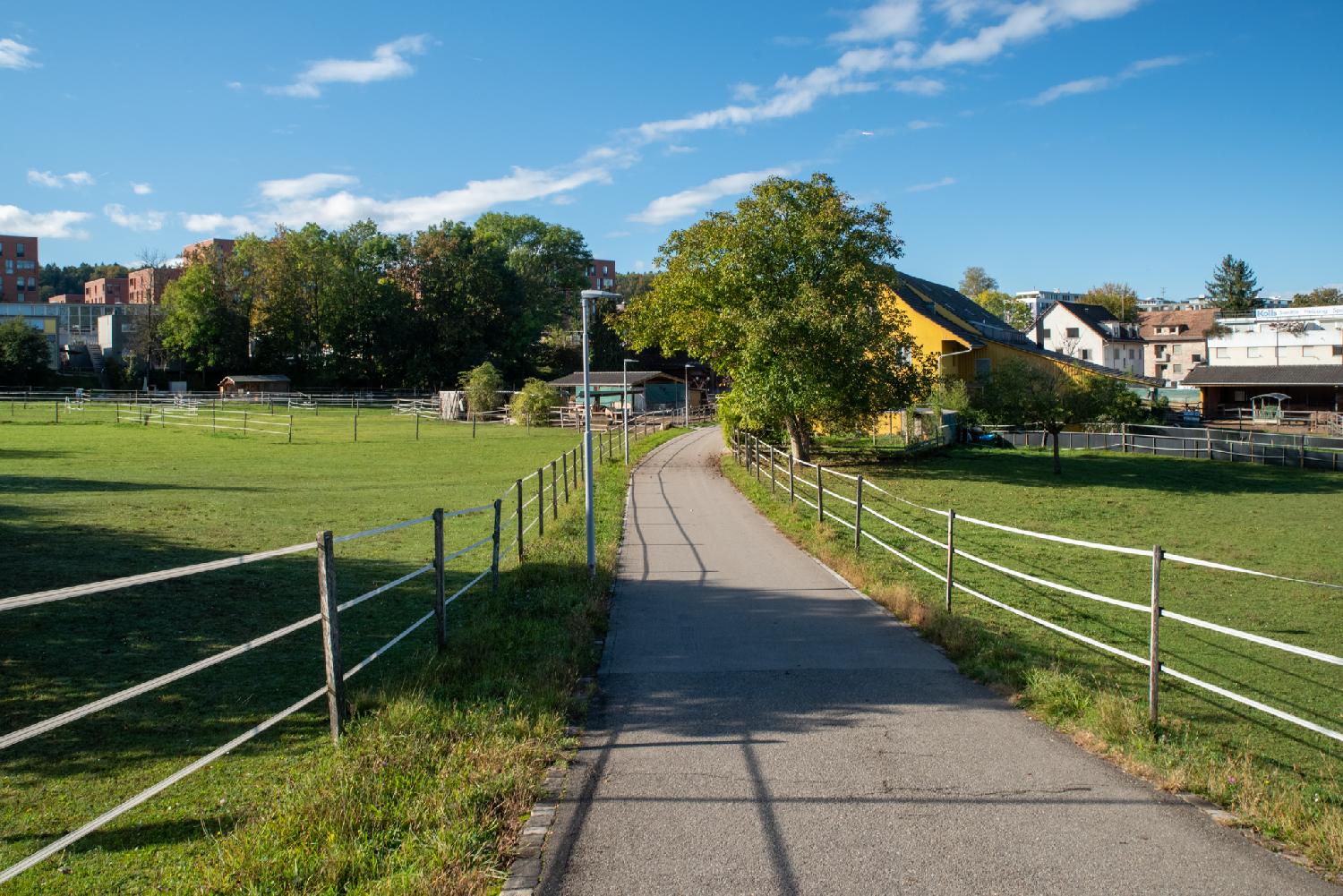 Alte Mühlackerstrasse in Zürich: a narrow street between two horse pastures, with a buildings in the background