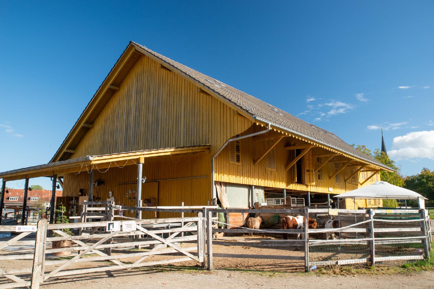Zürich Alte Mühlackerstrasse 14 - a yellow barn with a horse pen in front