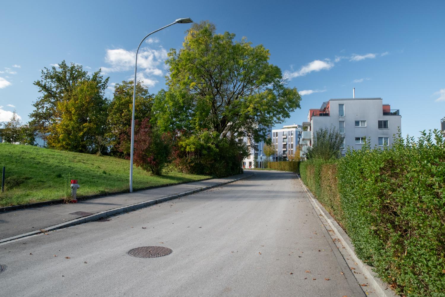Alte Mühlackerstrasse in Zürich: a street with 4-5-story buildings in the background and a hedge on the right