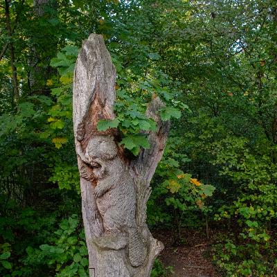 Alte Regensdorferstrasse