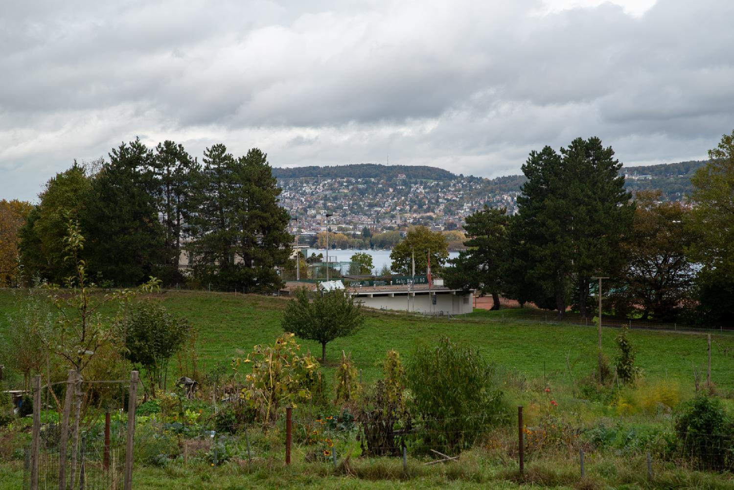 View from Alter Kirchenweg in Zürich: gardens in the forefront, a little piece of the Zürich lake, and the other side of the lake (heavily constructed)