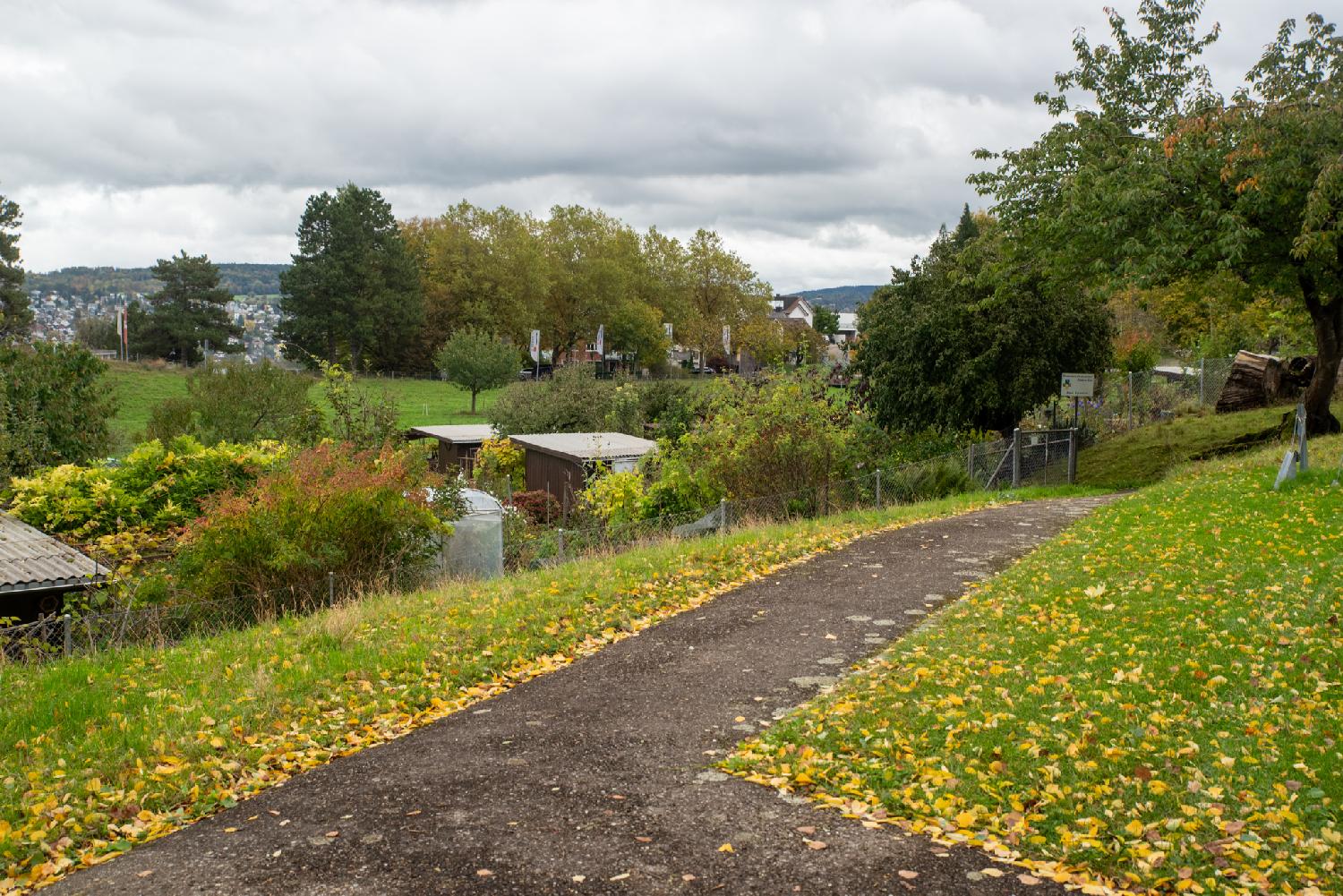 Entrance of the family gardens in Alter Kirchenweg in Zürich: a small asphalt path leading to a fenced area with gardens and sheds