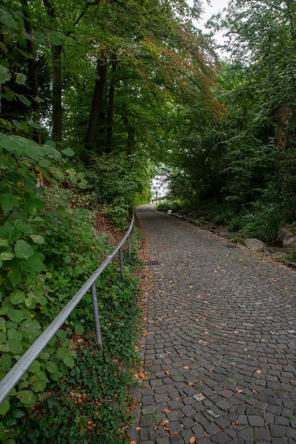 A paved pedestrian path, going downwards, with trees on each side, a metallic rail on the left, and buildings visible in the far background.