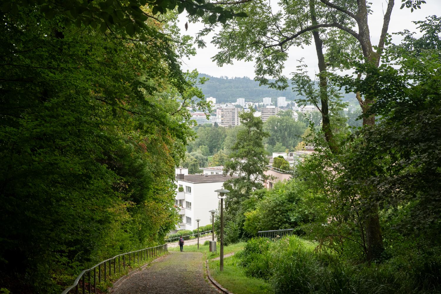 A paved pedestrian path, going downwards, with dense trees and a metallic rail on the left, lower vegetation on the right, and a lot of buildings in the background.