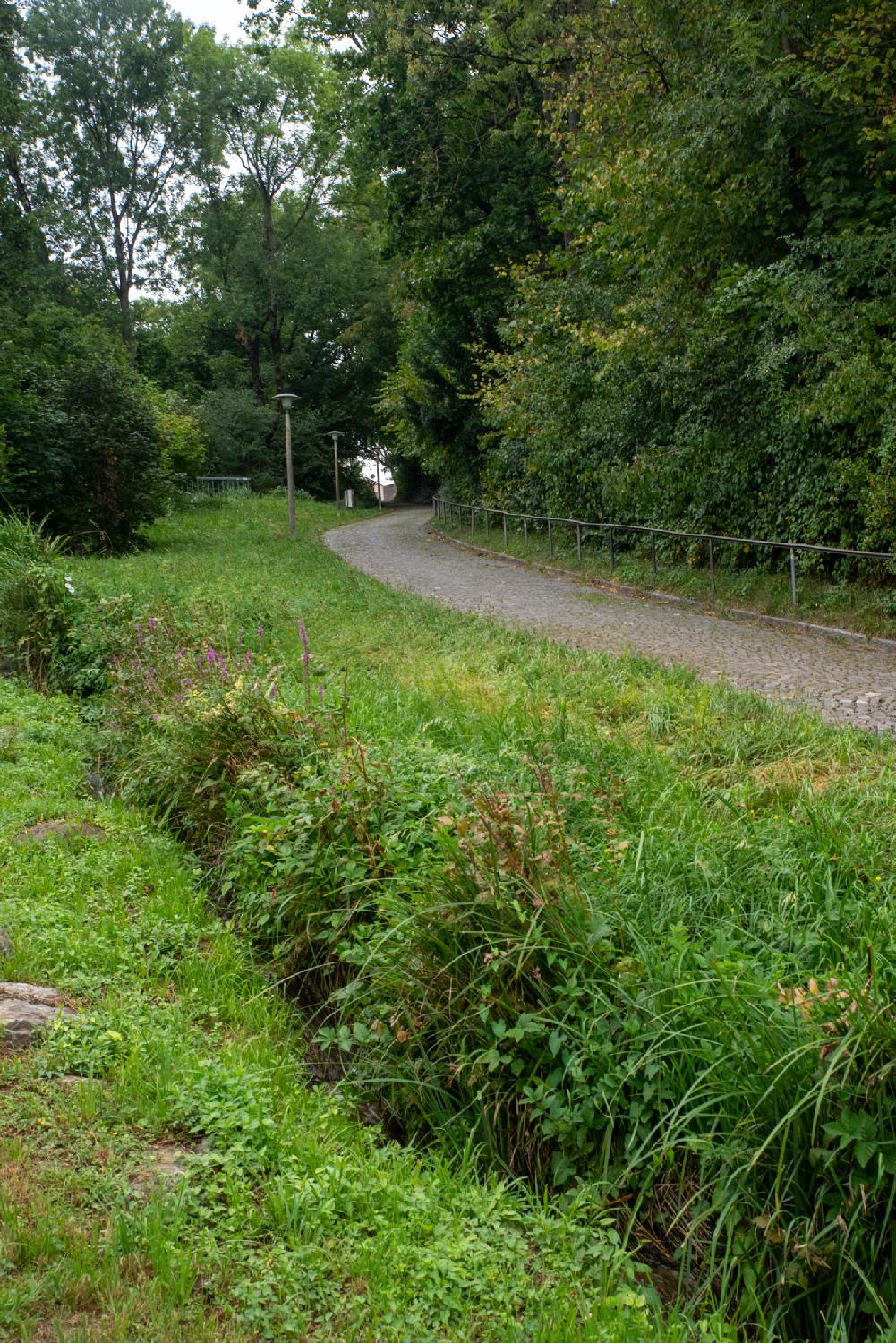 A paved pedestrian path, going upwards, with dense trees and a metallic handrail on the right. On the left of the path, some grass and a small ditch.