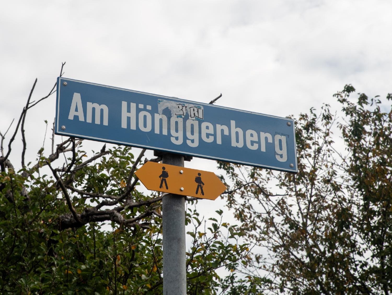 A blue "Am Hönggerberg" street sign with a yellow hiking path sign below it, and trees in the background.