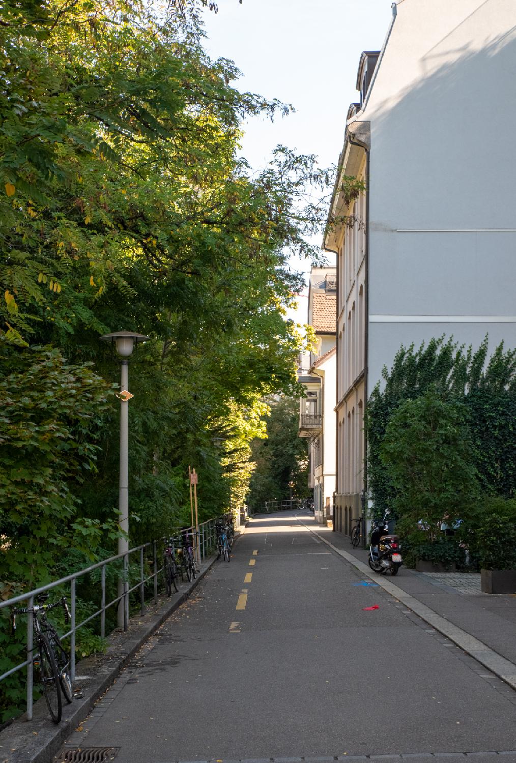 A very narrow street with an ivy-covered 4-story building on the right and dense trees on the left.