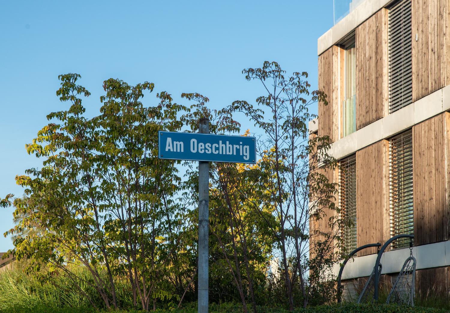 A blue "Am Oeschbrig" street sign in front of a tree with a wooden-paned building on the right of it.