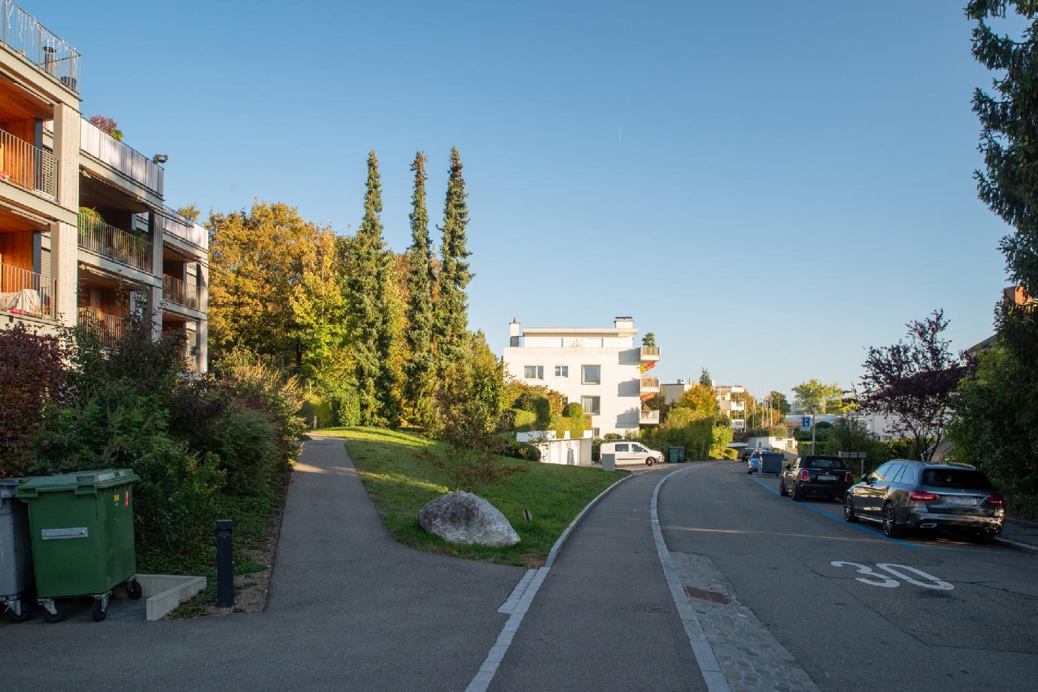 Am Oeschbrig in Zürich: a road with a 30 km/h limitation painted on it, 3-story residential buildings on each side, and cars parked on blue parking spots. There's three high, thin trees in the background.