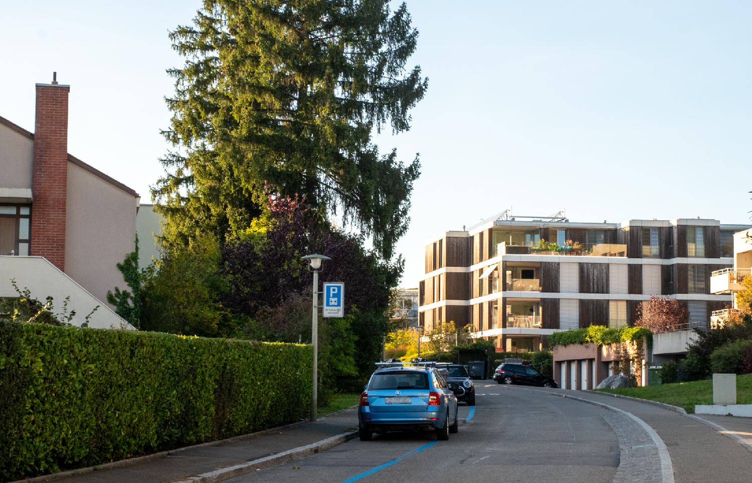 Am Oeschbrig in Zürich: a street with residential 3-4-story buildings on each side. There are cars and a hedge on the right side, a brick chimney on the building on the left, and wooden panes on the buildings on the right.