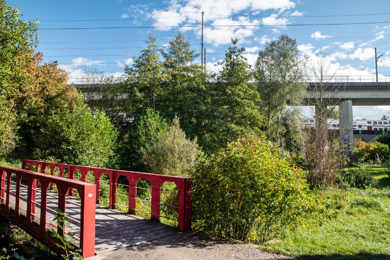 Three bridges: a wooden one with red metallic fences on the foreground, a concrete one behind trees in the middle ground, and a further one with a train passing on it in the background.