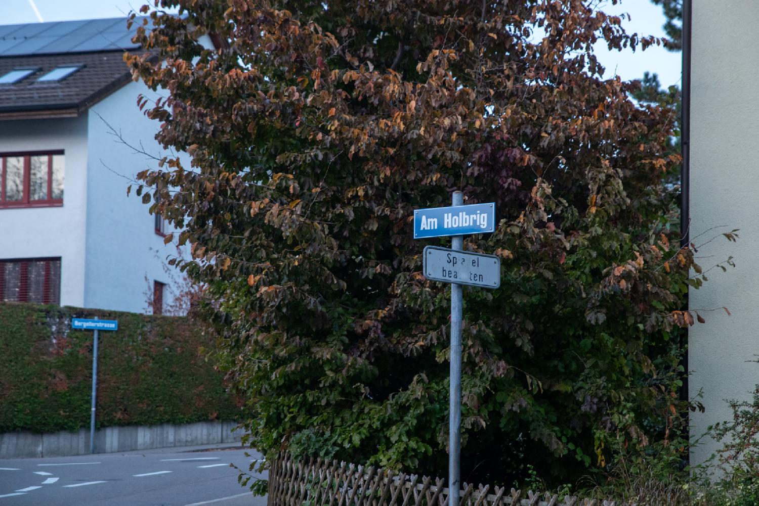 A blue sign written "Am Holbrig" on a metallic pole, with another sign saying, half-erased, "Spiegel beachten" (pay attention to the mirror). The sign is in front of a wooden cross fence and brown-red trees.