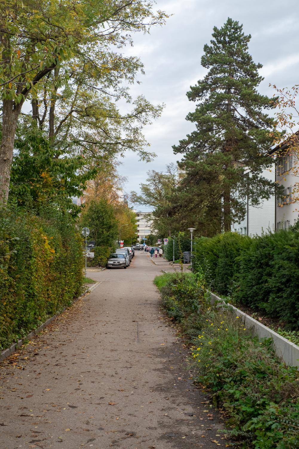 Am Luchsgraben in Zürich: a narrow street with cars parked on the left, with 3-4 story residential buildings behind trees and hedges