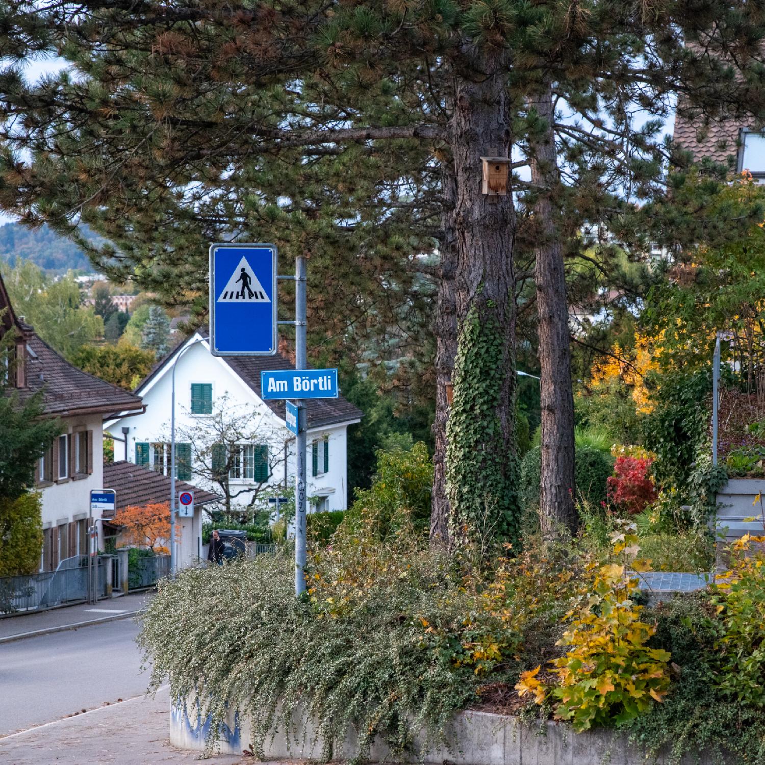 A blue "Am Börtli" street sign on a metallic pole that also holds a zebra crossing sign, next to low vegetation, and trees. Another street with houses is visible in the background.