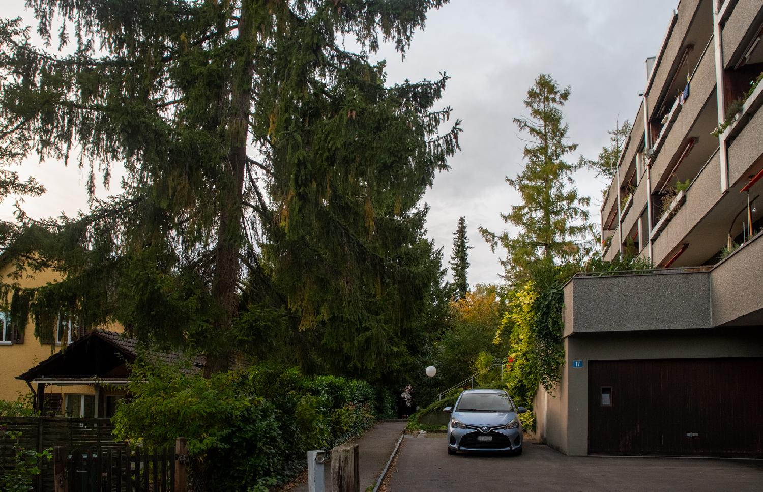 A 3-story residential building on top of garages, with a pine tree on the left and a car parked between the tree and the building.