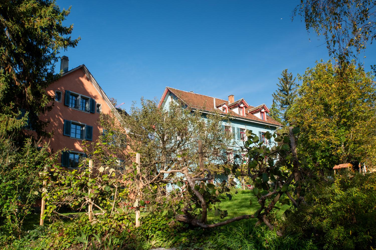 Two 4-story residential buildings, one brick-red and one light-blue, behind twisted vegetation