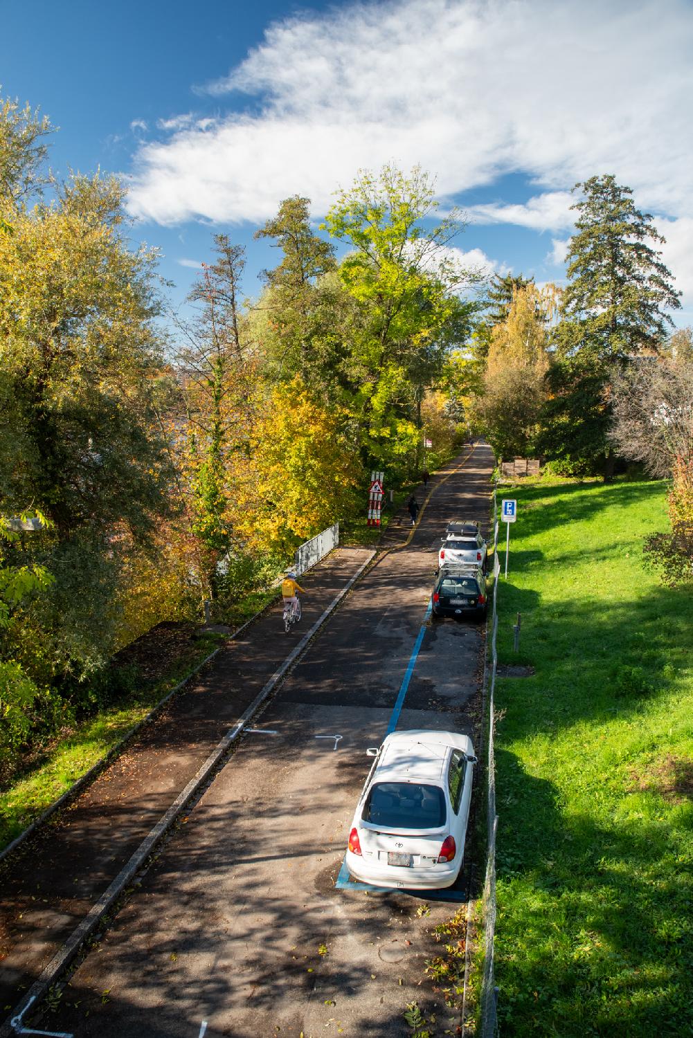 Seen from above: a narrow street with trees and grass all around it, and a few cars parked on blue parking spots.
