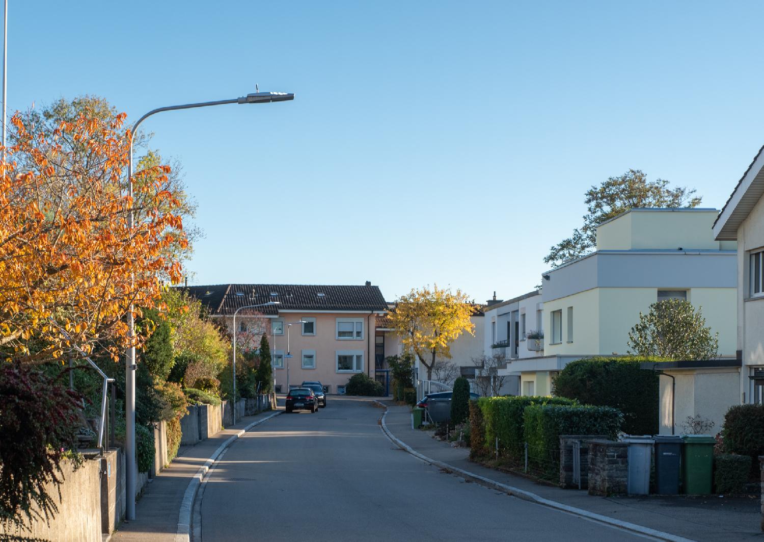 Am Guggenberg in Zürich: a narrow residential street with 2-story houses, a pink two-story building in the background, and a yellow-orange tree in the foreground.