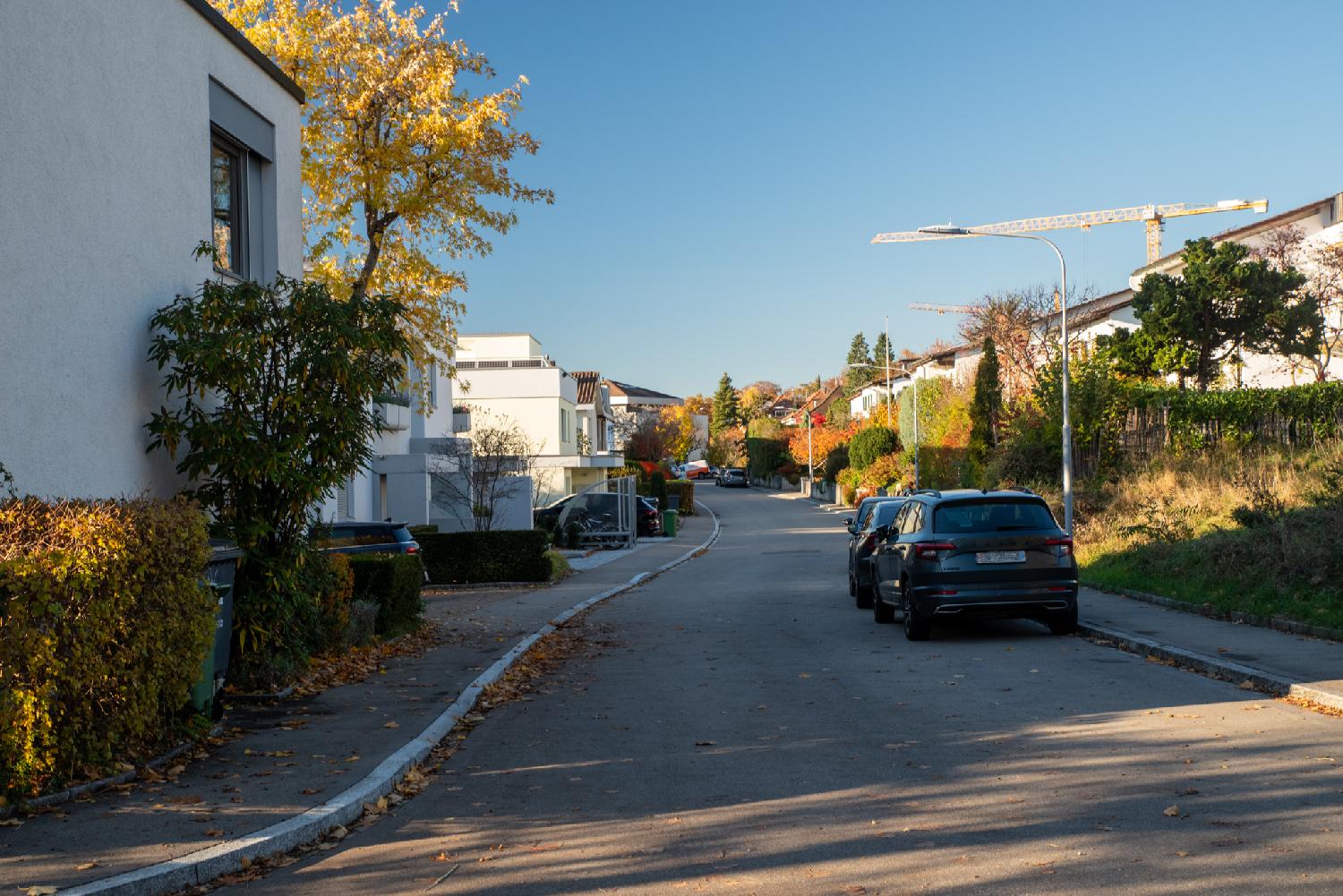 Am Guggenberg in Zürich: a narrow residential street with 2-story houses, cars parked on the right, green/orange/red vegetation, and a couple of cranes in the background
