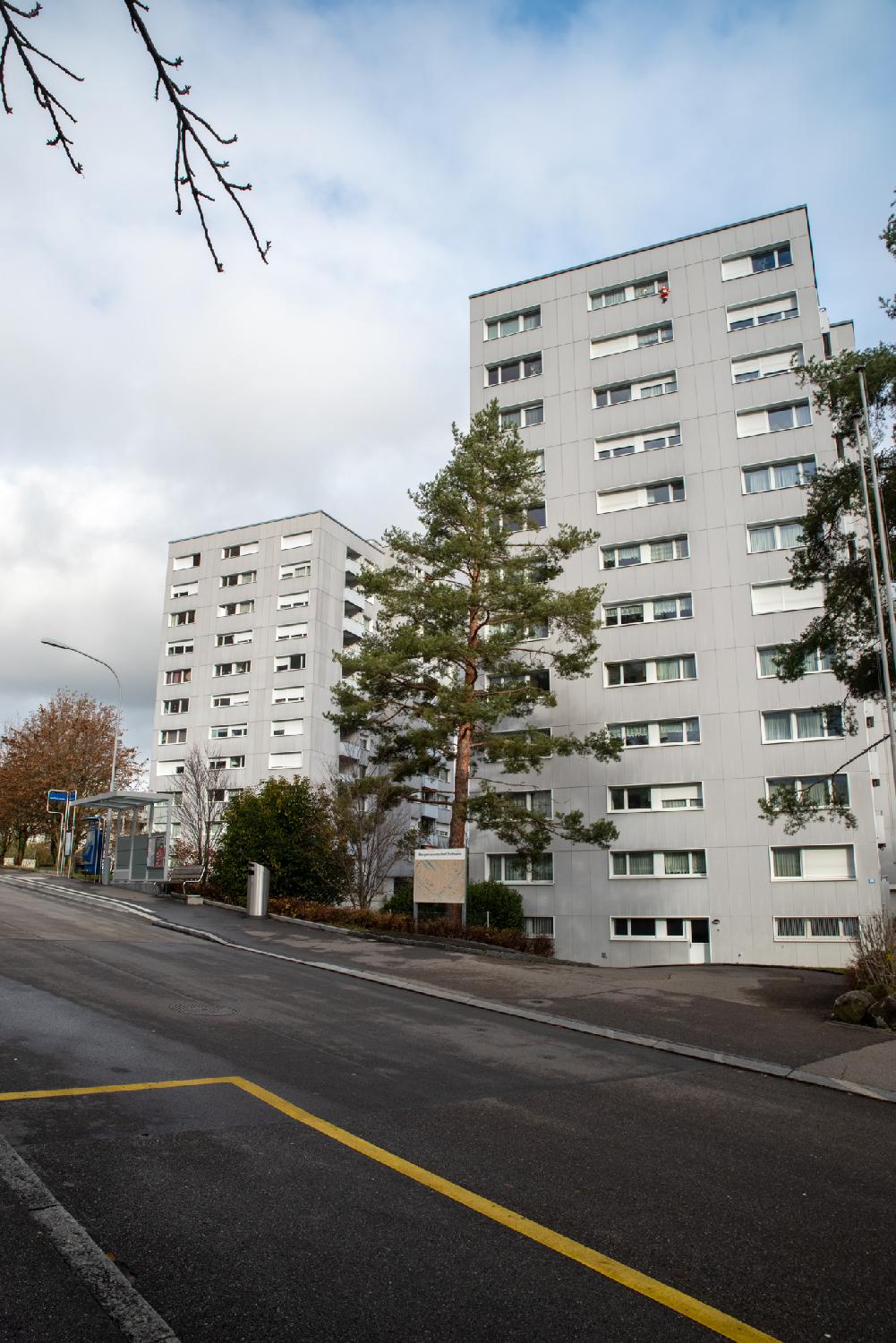 Two grey 12-story buildings with a pine tree and a bus stop in front of them. There's a Santa Claus hanging from the last-floor middle window of the right building.