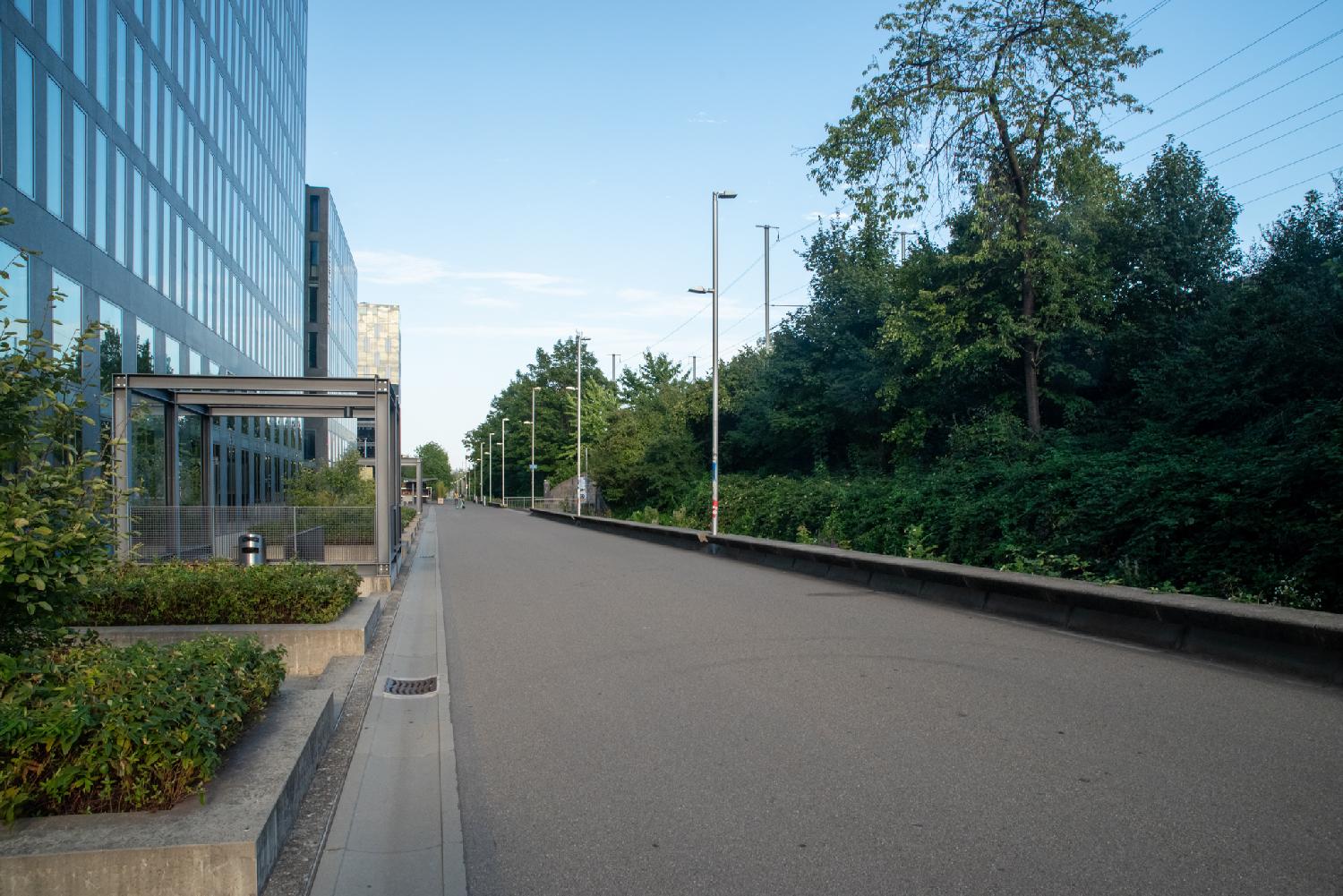 A wide pedestrian asphalt path, with high rise glass buildings on the left and trees on the right