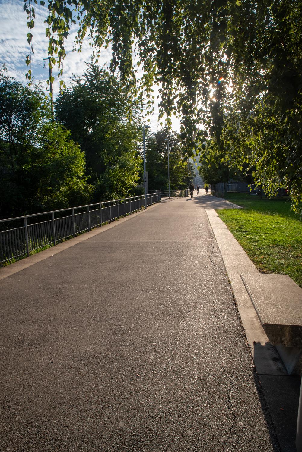 A wide pedestrian and bike path with greenery all around and a metallic hand-rail on the left.