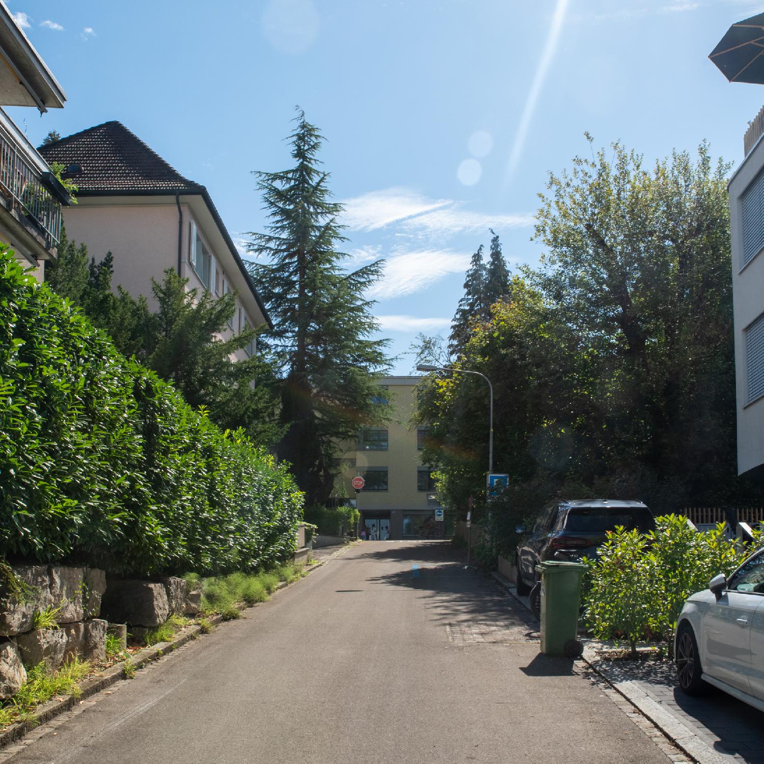 A narrow residential street with a high hedge on the left, partially concealing 2-3 story buildings, a couple of cars and a garbage green on the right, and more trees in the background.