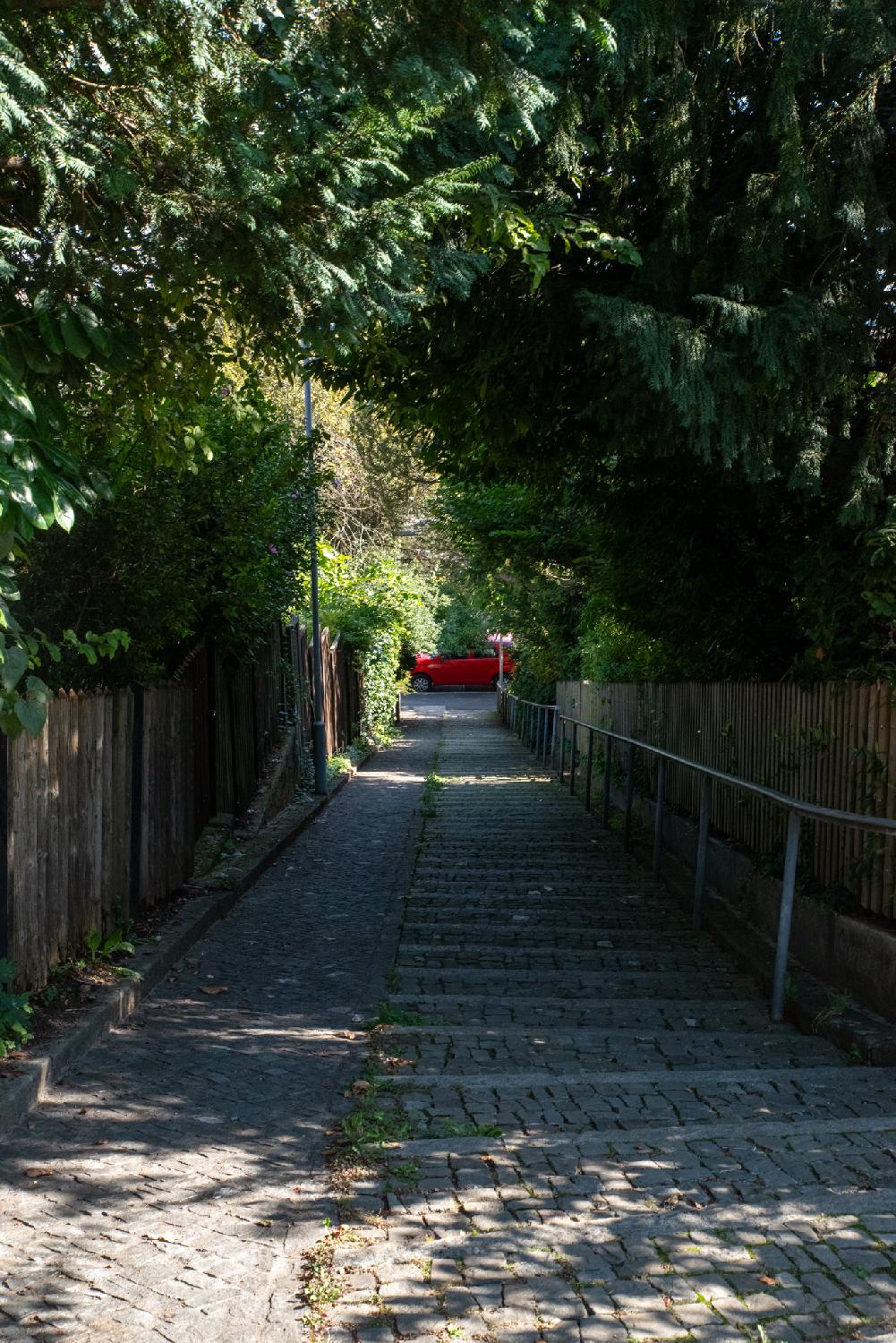 A small alley, going downhill, with trees all around and above and wooden fences on each side. On the left, a paved path; on the right, paved steps with a metallic rail.