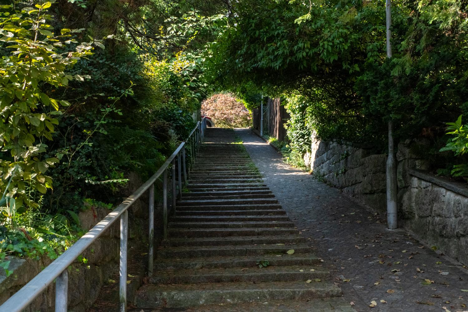 A small alley, going uphill, with trees all around and above and a low stone wall on the right side. On the right, a paved path; on the left, paved steps with a metallic rail.