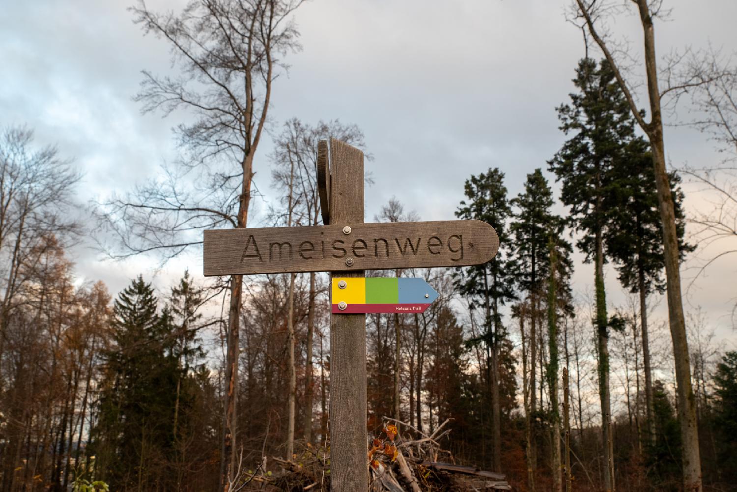 A wooden "Ameisenweg" path sign in front of trees, with a "Helsana trail" colored trail sign below it.