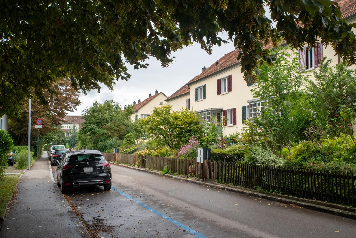 A residential street with wooden fences and small gardens and 3-storey buildings. There's blue parking spots on the right side of the street, with some cars.