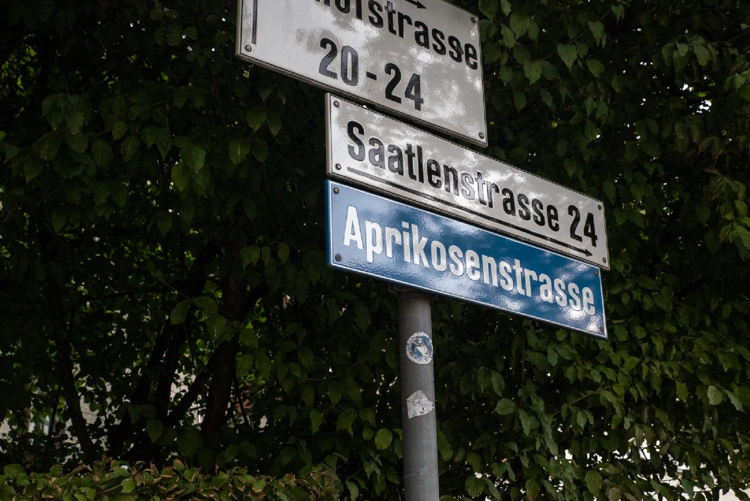 Blue Aprikosenstrasse on a metallic pole in front of green leaves