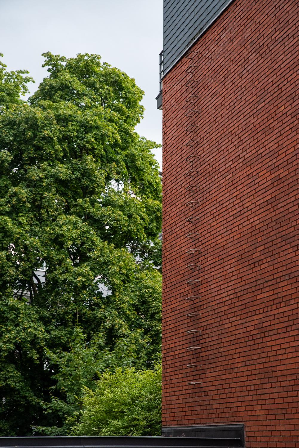 A brick wall with metallic ladder rungs attached to it, with a metallic structure on top, and a tree behind the building.