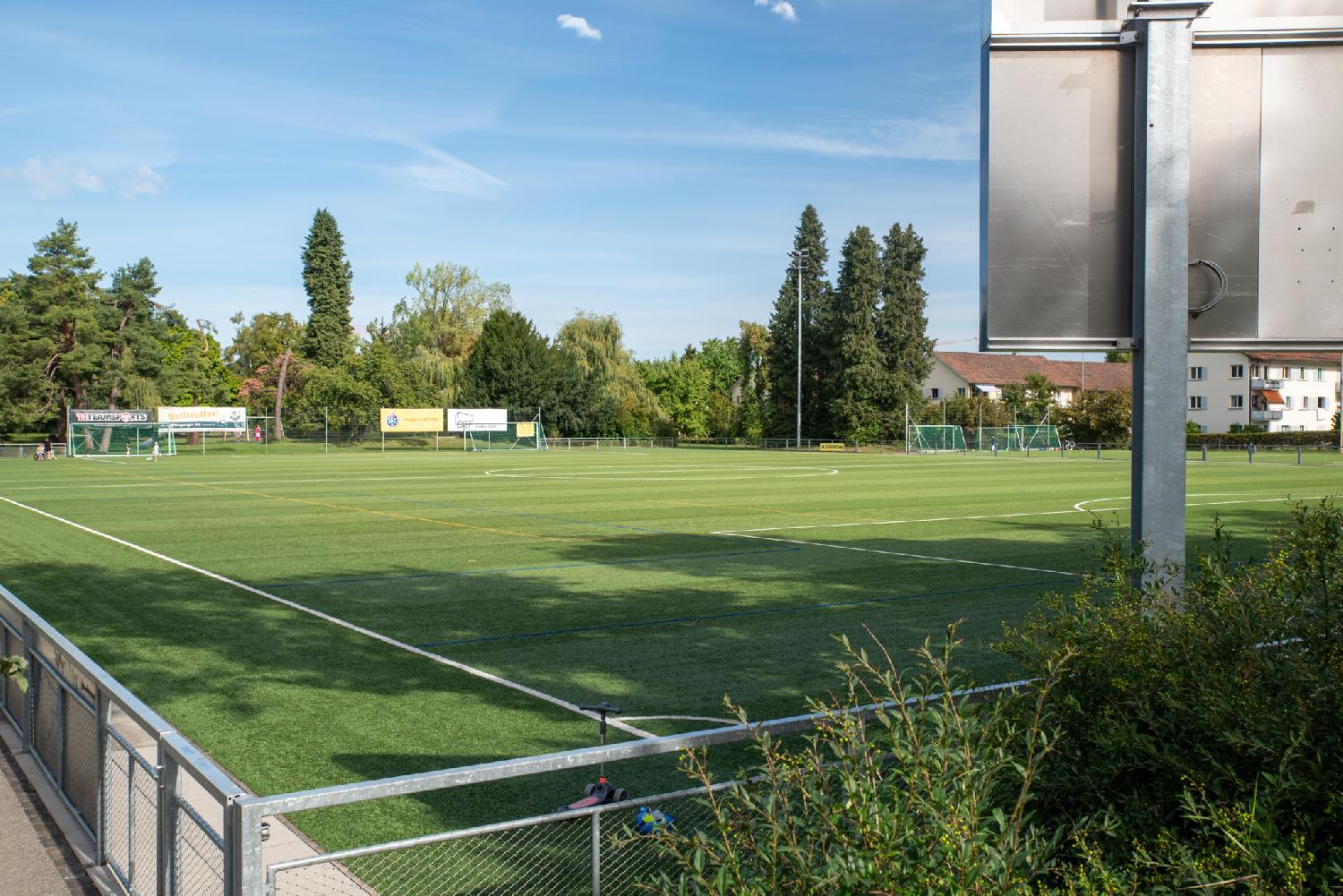 A grass-surface sports ground with a metallic rail around it