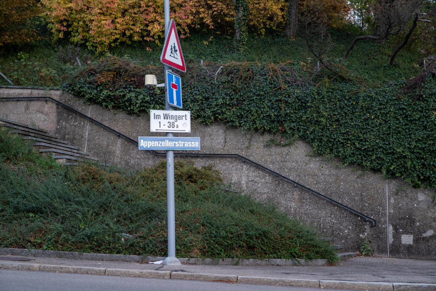 Blue "Appenzellerstrasse" street sign on a pole with other signs, in front of stairs and a mat of  vegetation.