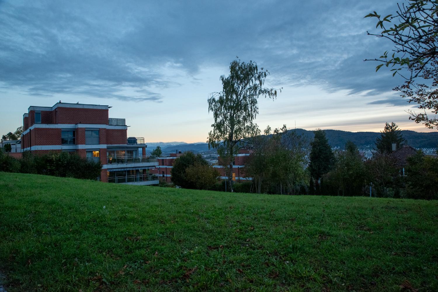 A green meadow in the foreground, red residential 4-storey buildings and trees in the middle ground, the Uetliberg and the Alps in the background, with the Sun already behind the mountains