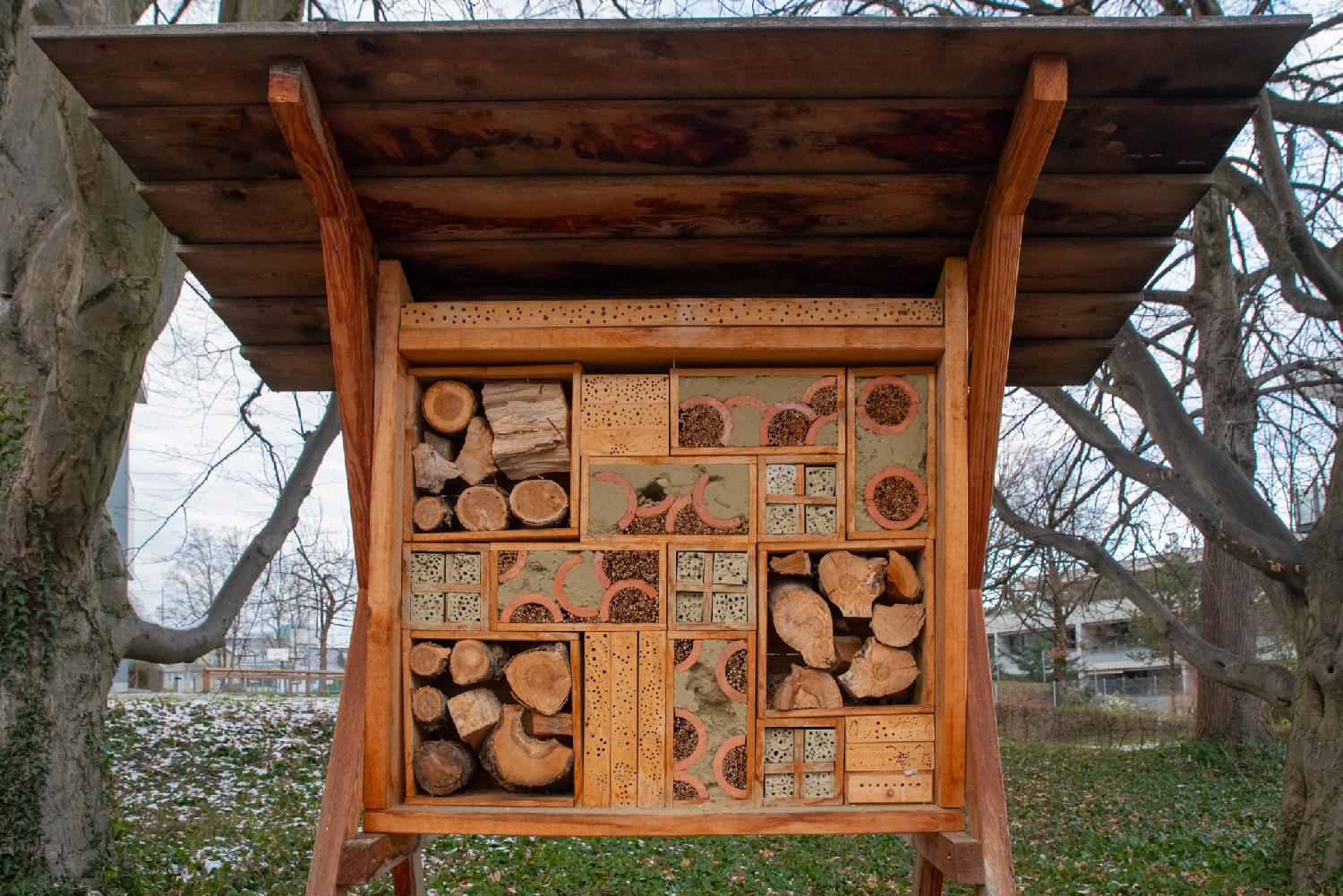 An insect hotel: multiple pieces of different essences of wood with various sizes of holes, assembled in a human-eye pleasing way