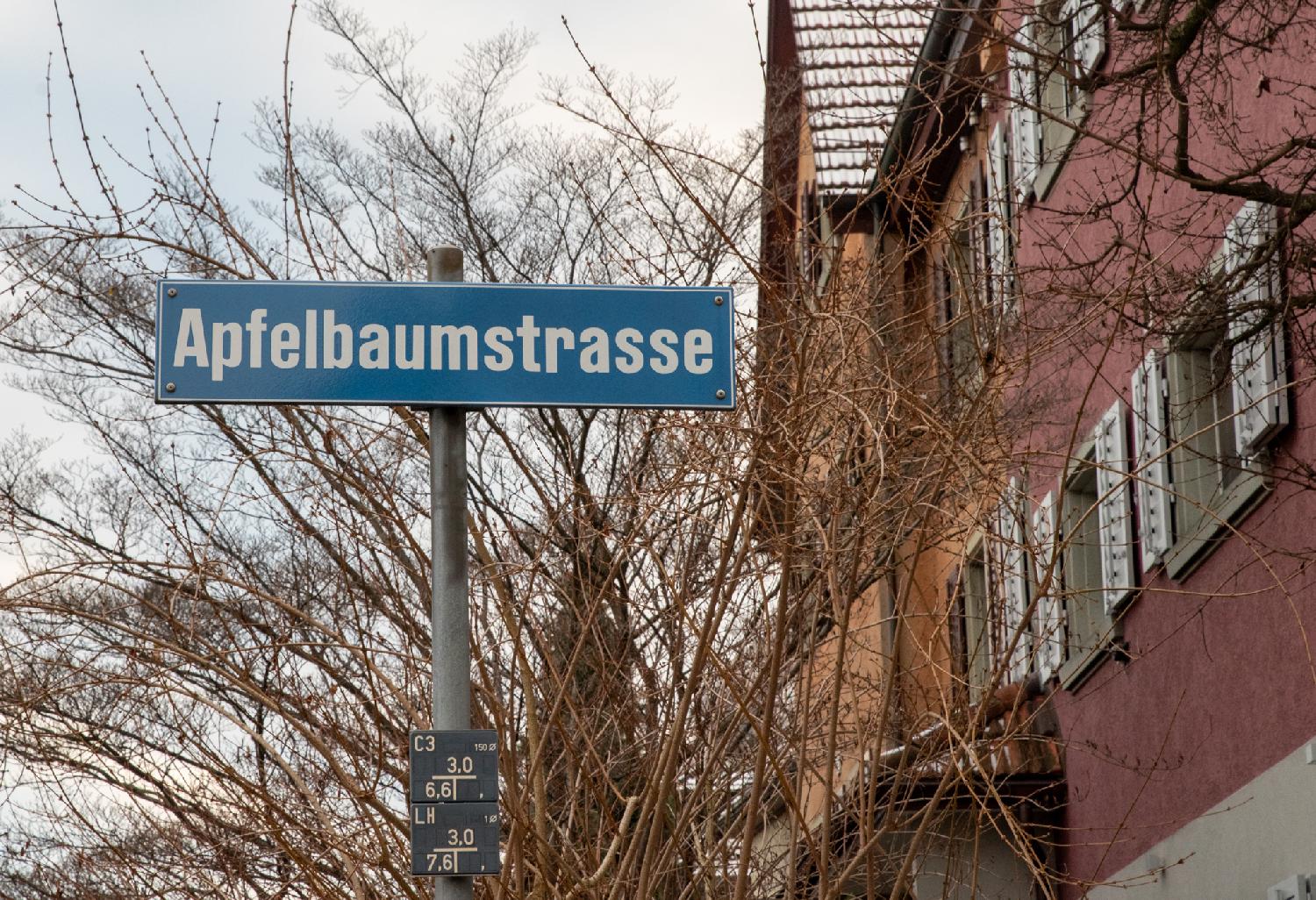 A blue "Apfelbaumstrasse" sign on a metallic pole in front of a red building with white blinds and a tree.
