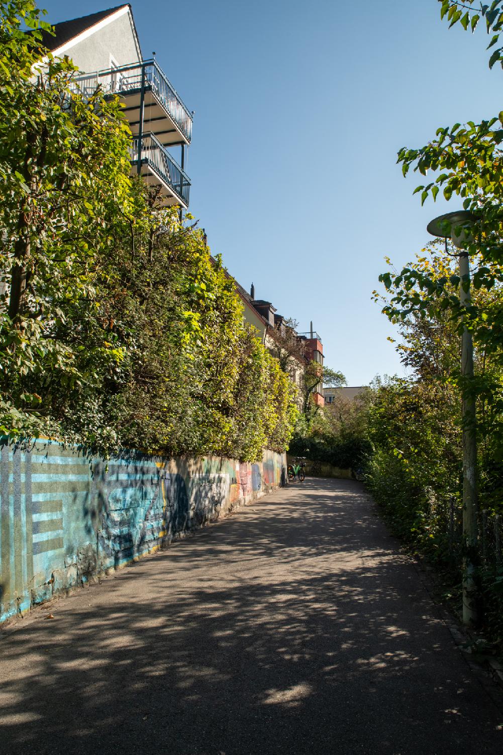 A narrow street between a painted wall, overlooked by a hedge and residential buildings, and a ground-level hedge.