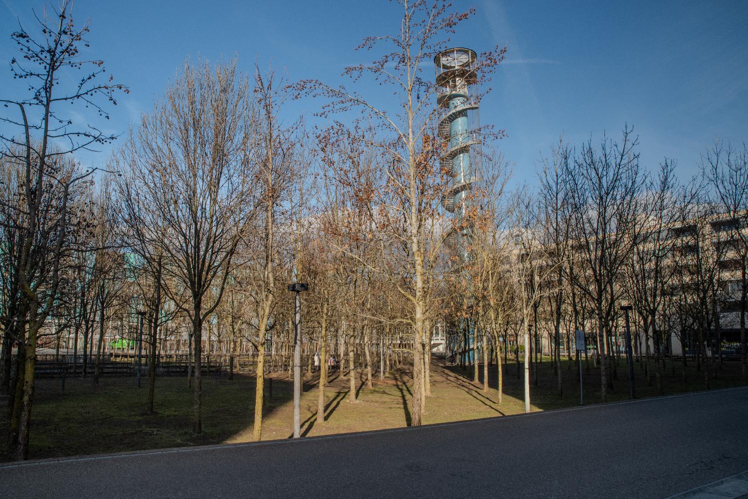 A park with a lot of trees without leaves, and a blue observation tower in the background
