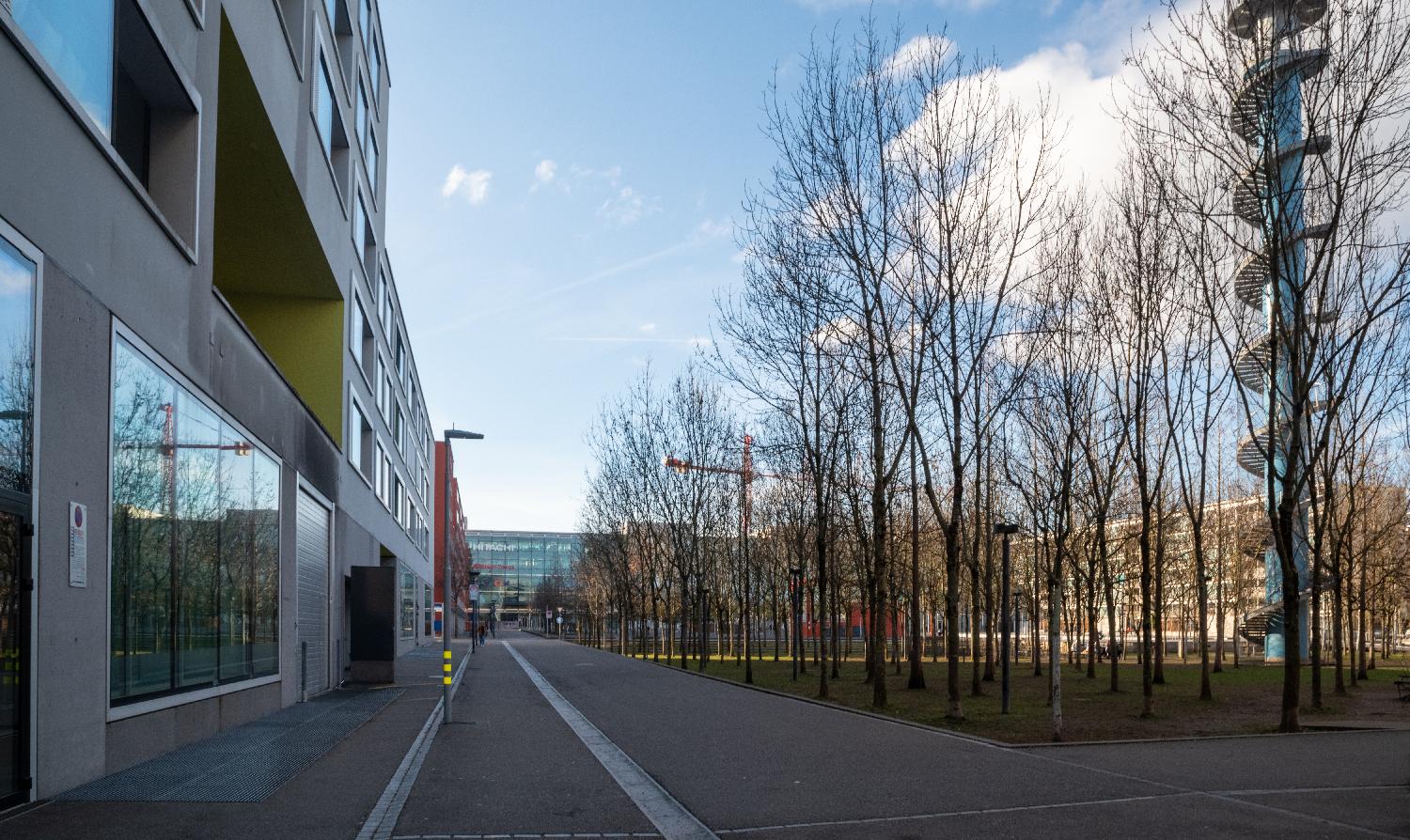 A quiet street with 4-storey buildings on the left side, a glass building in the background, and a park with an observation tower on the right side.