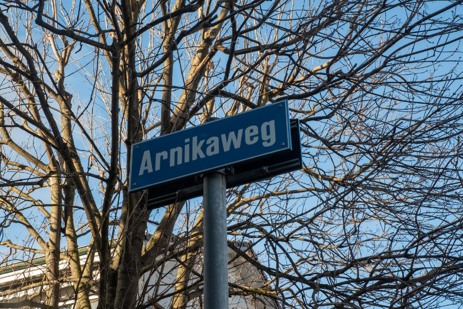 A blue "Arnikaweg" sign in front of tree branches