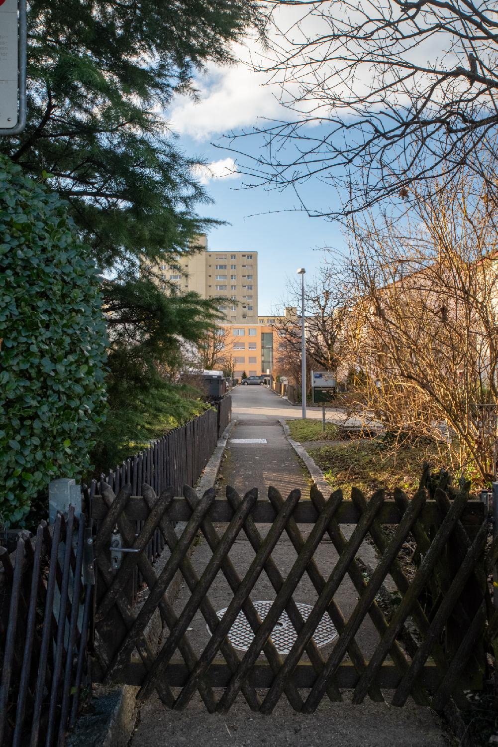 A small path behind a wooden fence door that expands to a larger street a few meters further. There are a wooden fence and trees on the left side, ande more trees on the right side. Medium-height buildings are visible on the right side, and higher rises in the background.