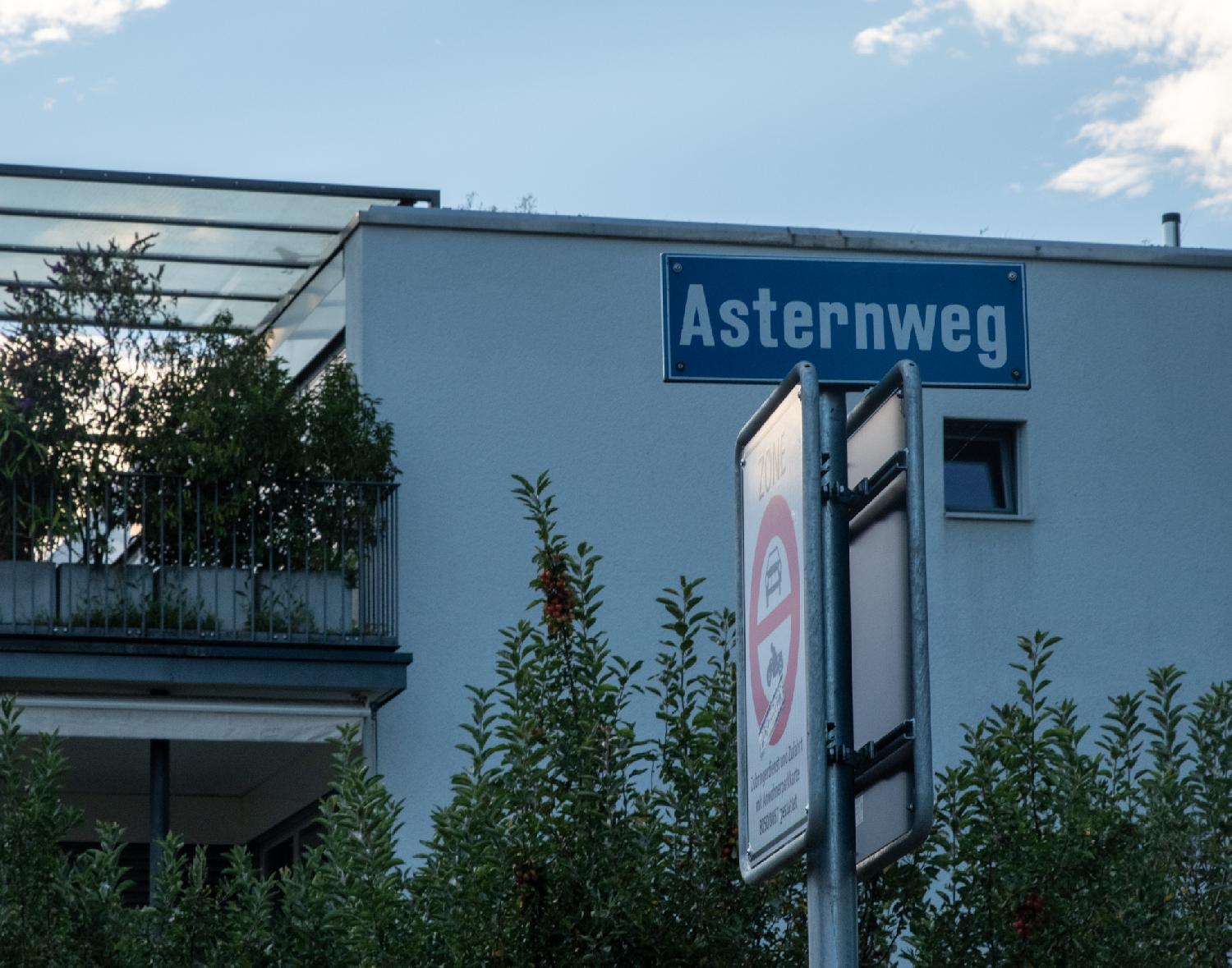 A blue Asternweg street sign on a metallic pole that also indicates "no cars or bikes", in front of a 2-story building with greenery.