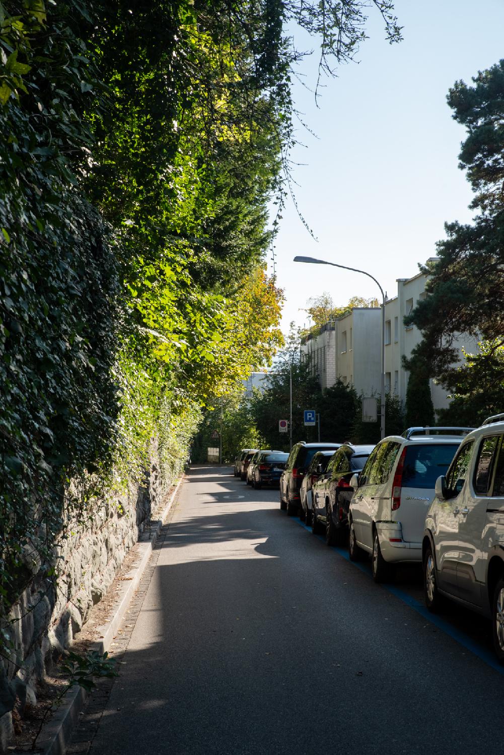 A one-way street with, on the left, a stone wall and trees and, on the right, 2-story buildings and a row of parked cars