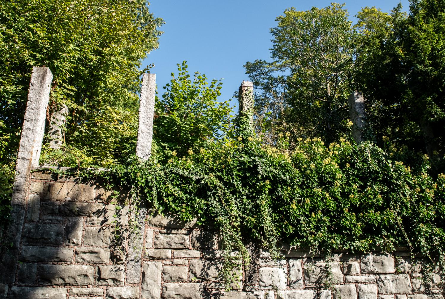 A stone wall, partly hidden by vegetation, with 4 visible stone pillars on top of it