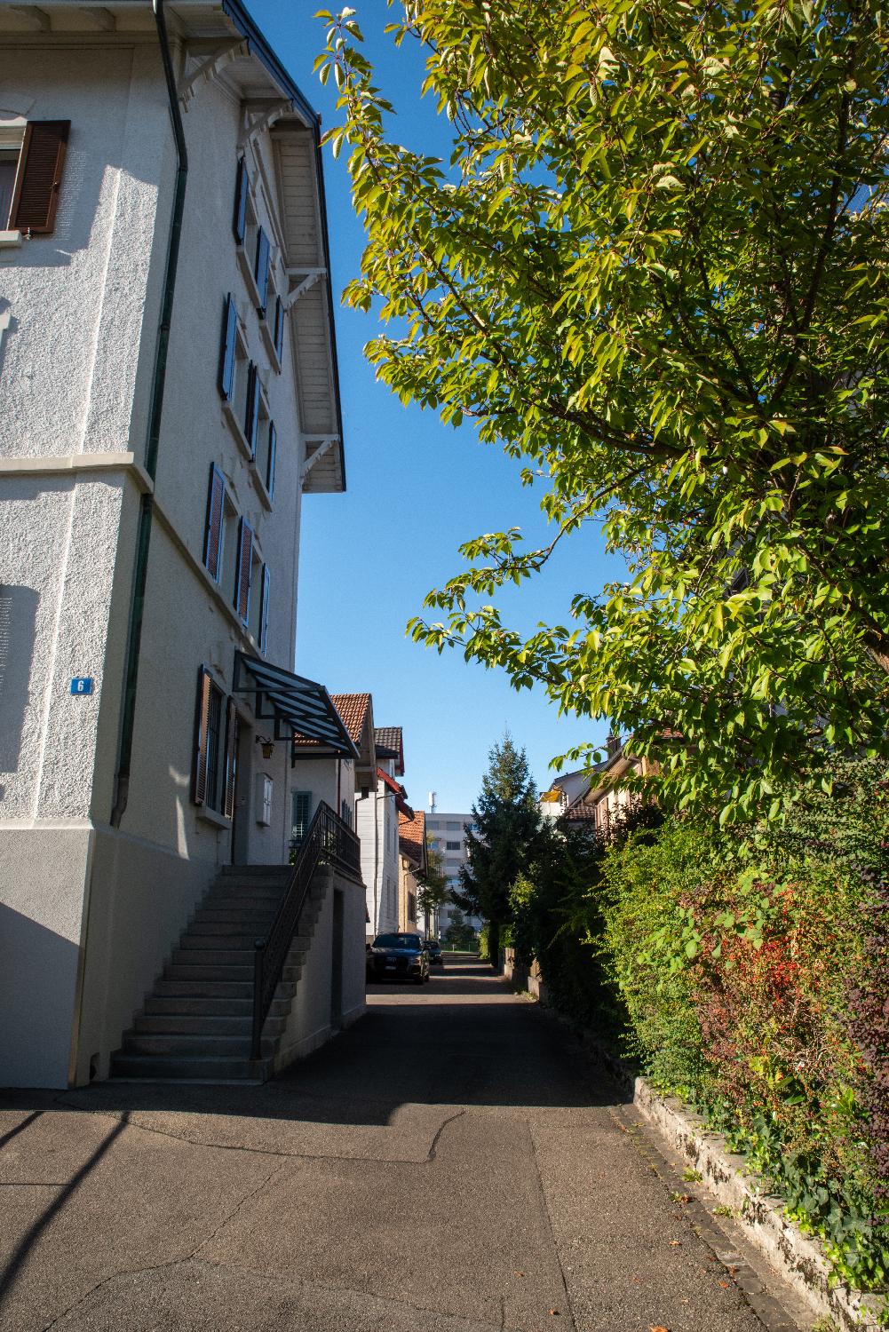 A narrow private street with residential buildings on the left and hedges on the right