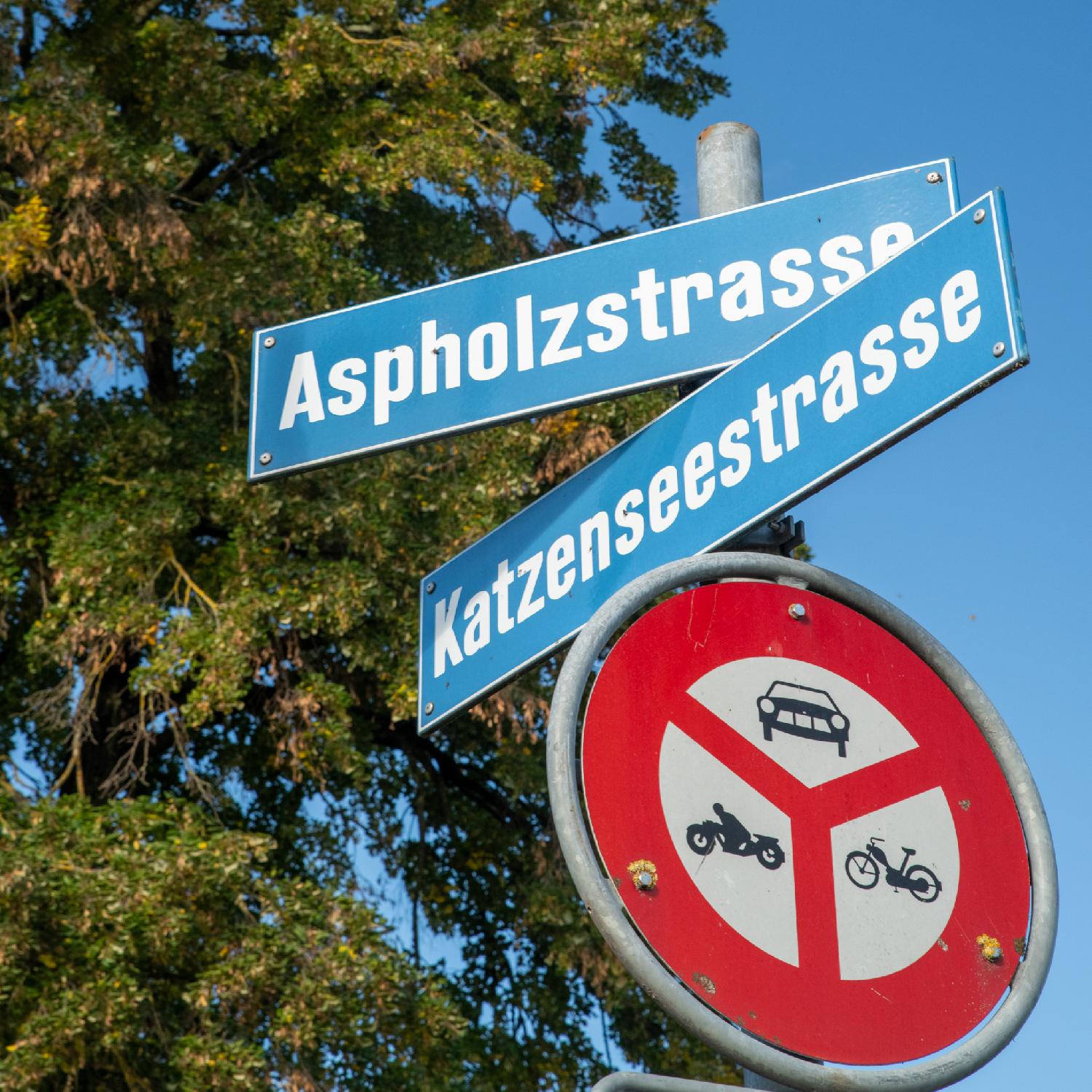 A metallic pole with blue signs for Aspholzstrasse and Katzenseestrasse, as well as a "no motor vehicles allowed" sign, in front of a tree
