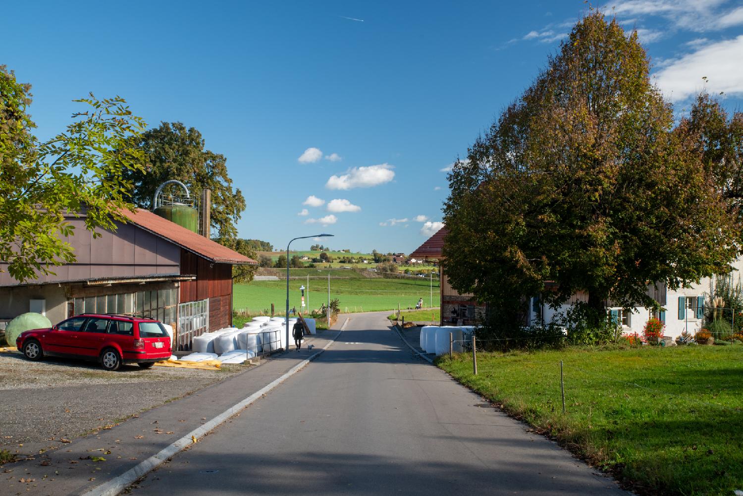 A narrow street with farm buildings and wrapped bales, and a green field in the background